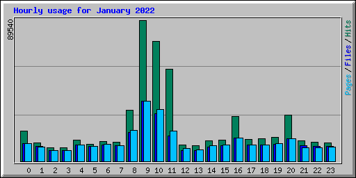 Hourly usage for January 2022
