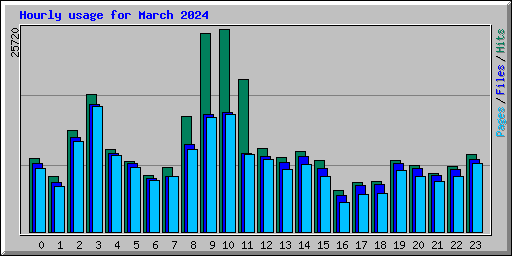 Hourly usage for March 2024