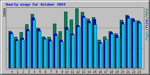 Hourly usage for October 2024