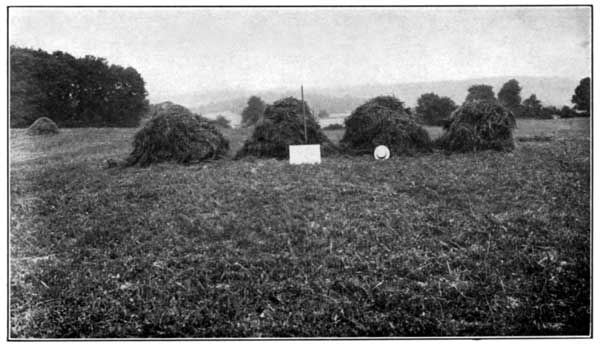 Clover and Timothy with Lime Alone at the Pennsylvania
Experiment Station Yielded 4900 Pounds per Acre