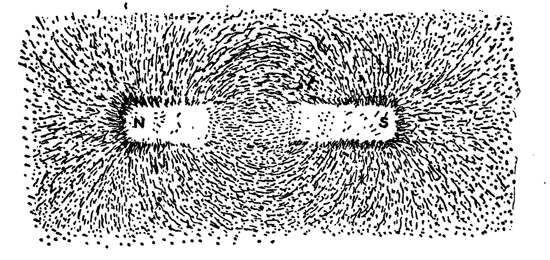 Fig. 13.—A Magnetic "Phantom," Showing the Field of Force about a Magnet.