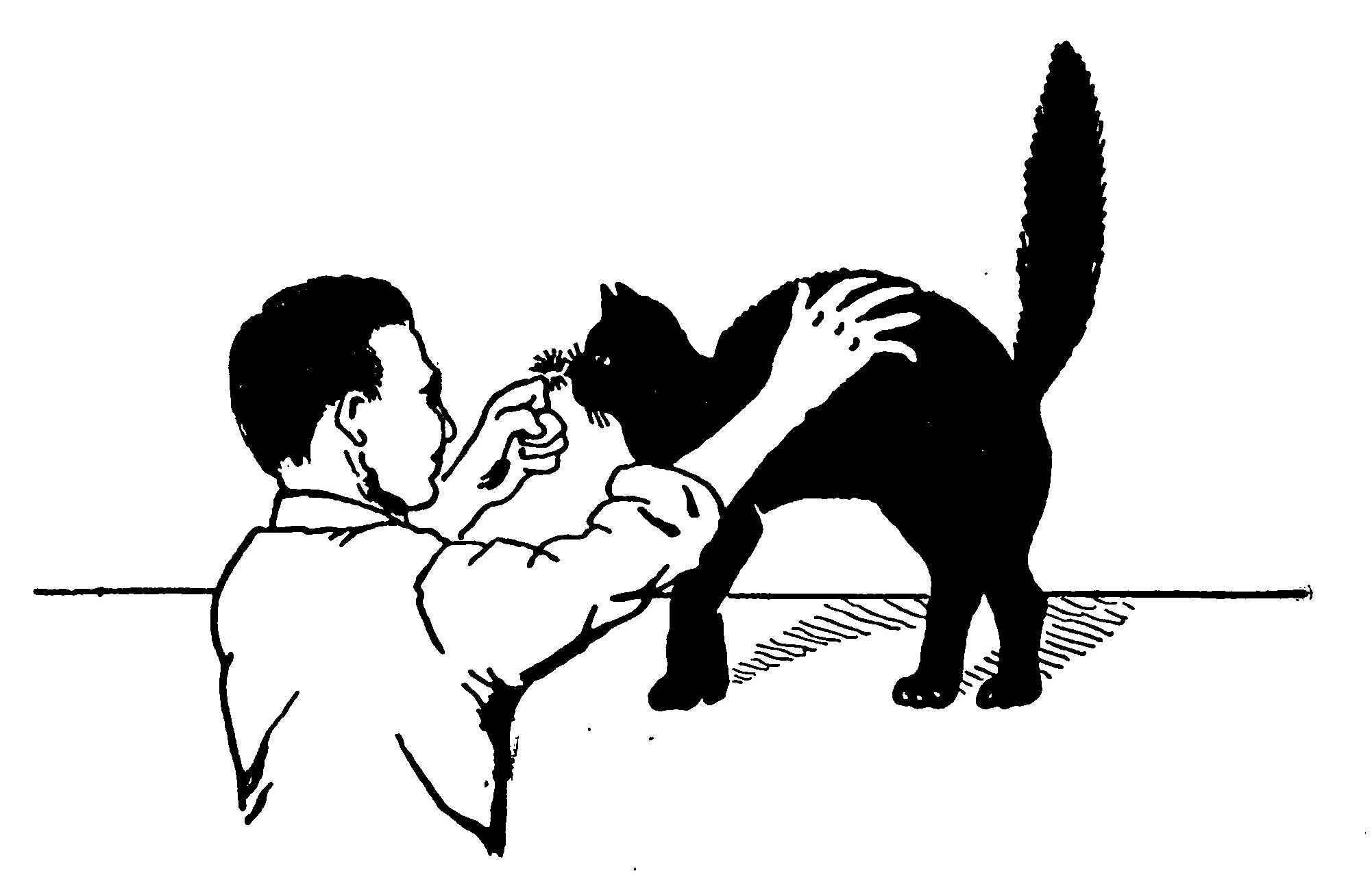 Fig. 20.—A Surprise for the Cat.